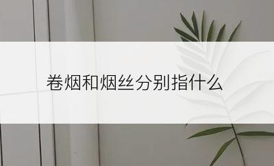 卷烟和烟丝分别指什么