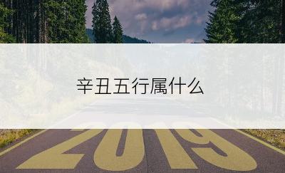 辛丑五行属什么