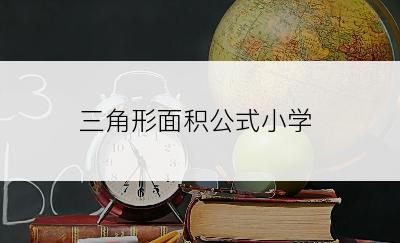 三角形面积公式小学