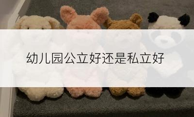 幼儿园公立好还是私立好