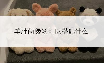 羊肚菌煲汤可以搭配什么