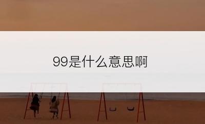 99是什么意思啊