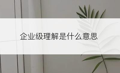 企业级理解是什么意思