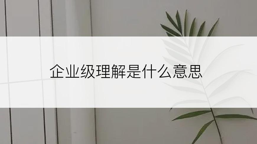 企业级理解是什么意思