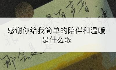 感谢你给我简单的陪伴和温暖是什么歌