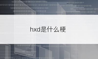 hxd是什么梗