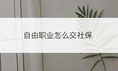 自由职业怎么交社保