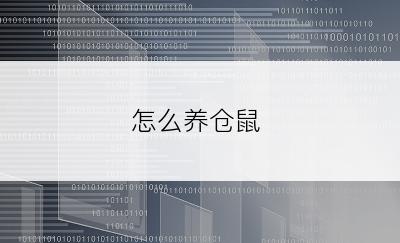 怎么养仓鼠