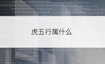 虎五行属什么