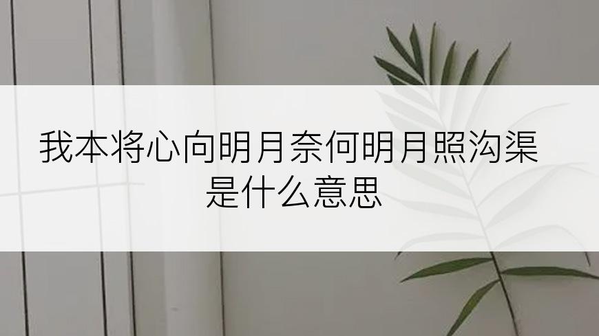 我本将心向明月奈何明月照沟渠是什么意思