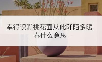 幸得识卿桃花面从此阡陌多暖春什么意思