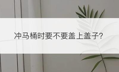 冲马桶时要不要盖上盖子？