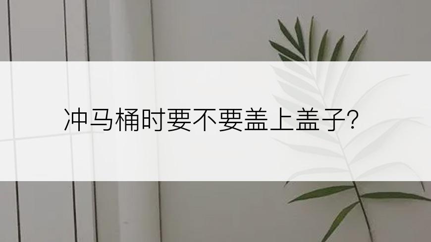 冲马桶时要不要盖上盖子？