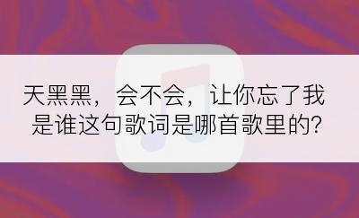 天黑黑，会不会，让你忘了我是谁这句歌词是哪首歌里的？