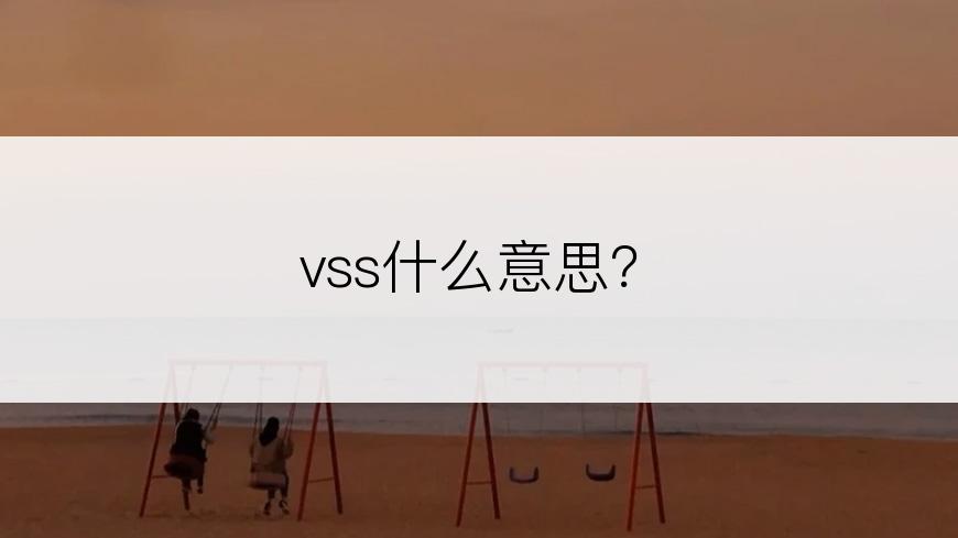 vss什么意思？