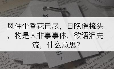 风住尘香花已尽，日晚倦梳头，物是人非事事休，欲语泪先流，什么意思？