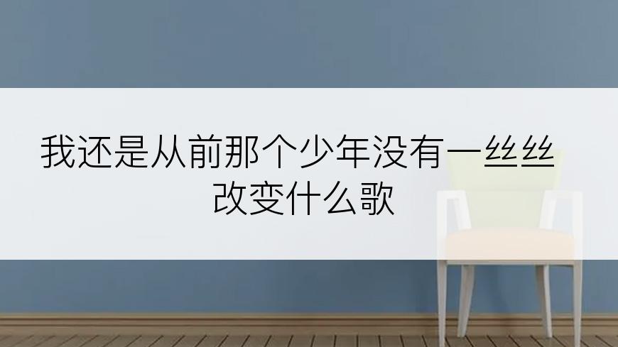 我还是从前那个少年没有一丝丝改变什么歌