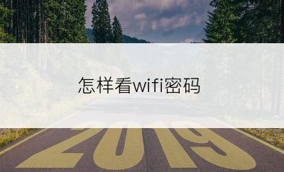 怎样看wifi密码