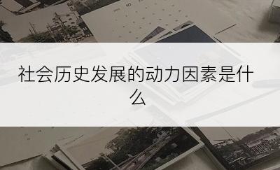 社会历史发展的动力因素是什么