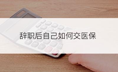 辞职后自己如何交医保