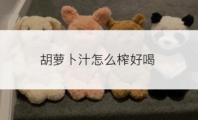 胡萝卜汁怎么榨好喝