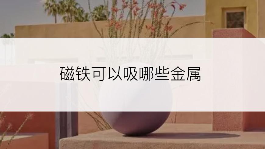 磁铁可以吸哪些金属