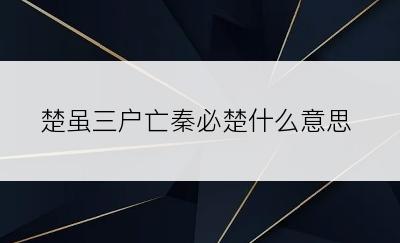 楚虽三户亡秦必楚什么意思