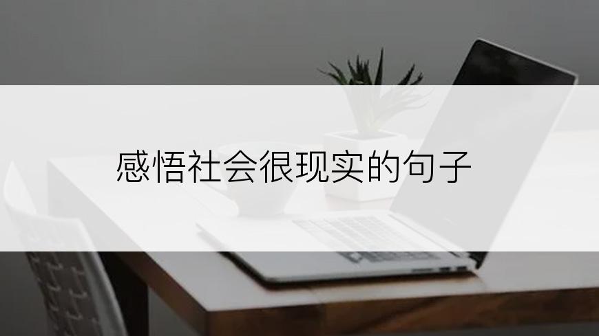 感悟社会很现实的句子