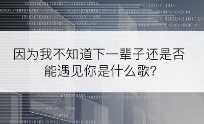 因为我不知道下一辈子还是否能遇见你是什么歌?