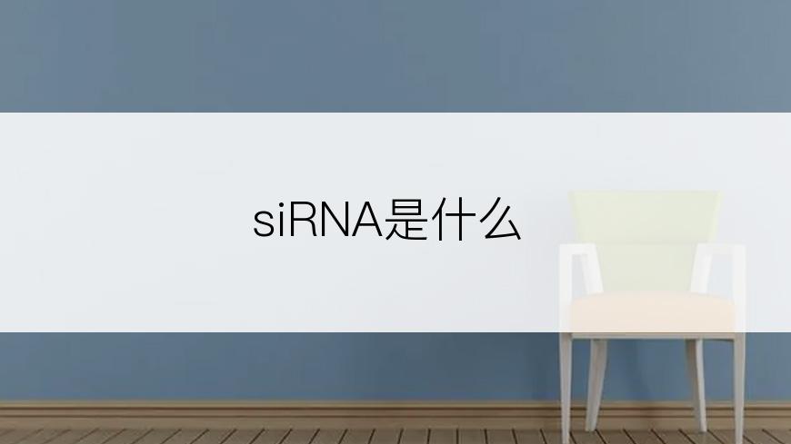 siRNA是什么