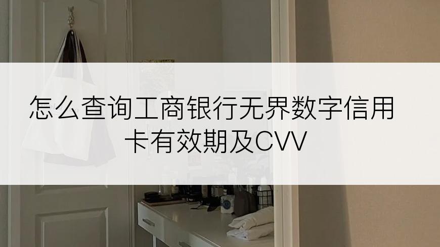 怎么查询工商银行无界数字信用卡有效期及CVV