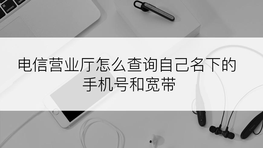 电信营业厅怎么查询自己名下的手机号和宽带