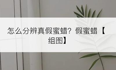 怎么分辨真假蜜蜡？假蜜蜡【组图】