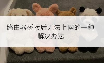 路由器桥接后无法上网的一种解决办法