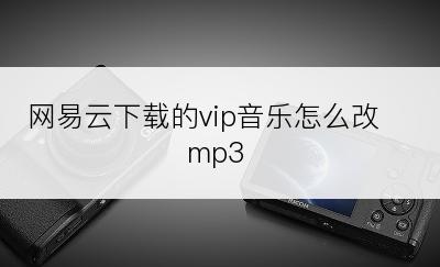 网易云下载的vip音乐怎么改mp3