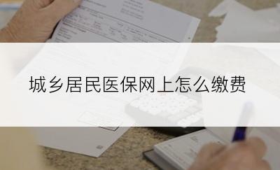 城乡居民医保网上怎么缴费