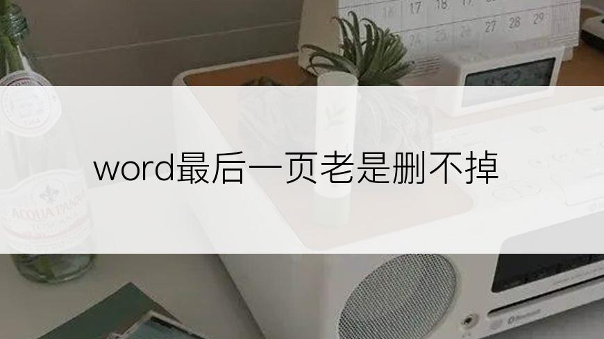 word最后一页老是删不掉