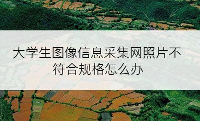 大学生图像信息采集网照片不符合规格怎么办