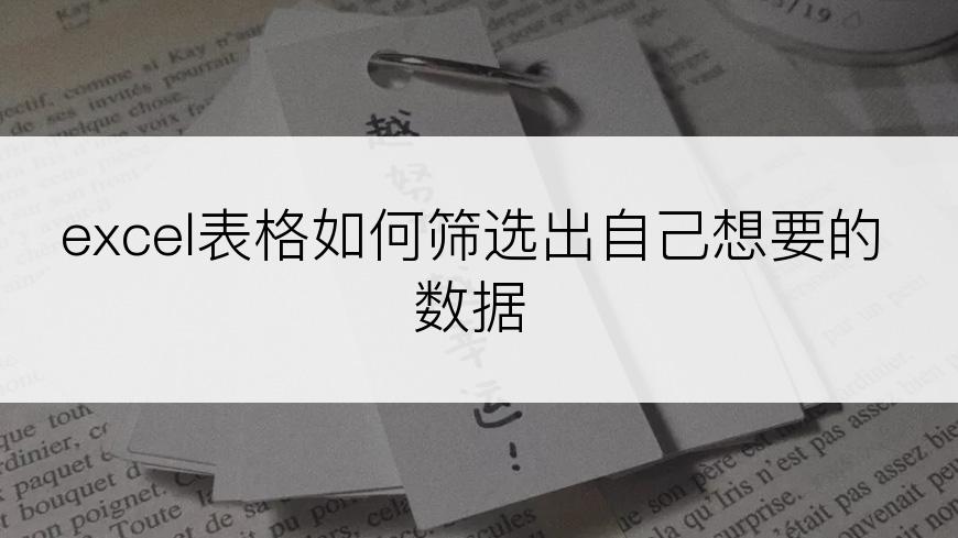 excel表格如何筛选出自己想要的数据