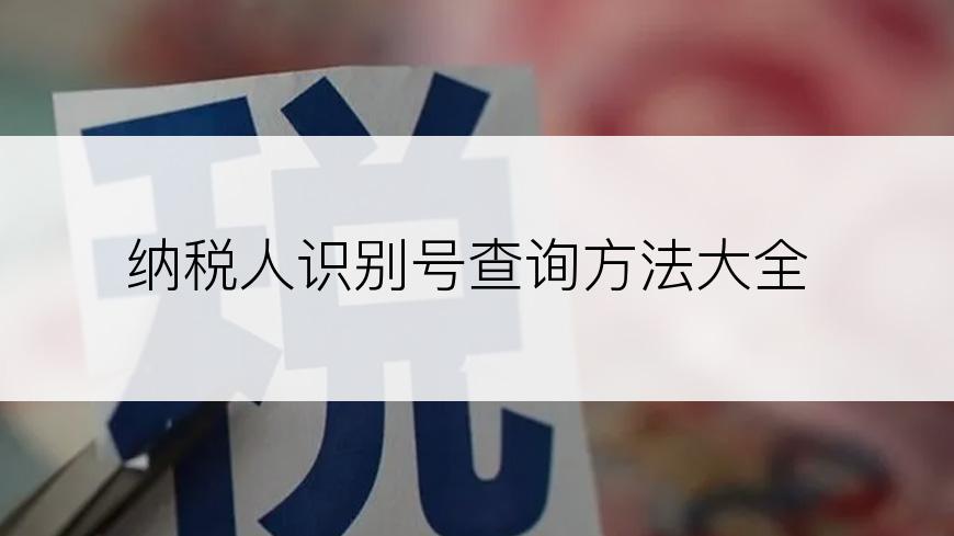 纳税人识别号查询方法大全