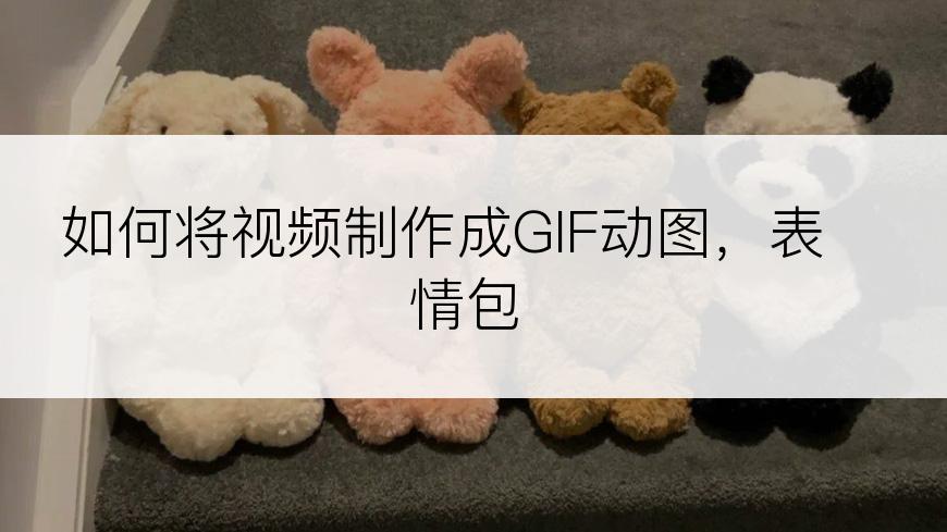 如何将视频制作成GIF动图，表情包