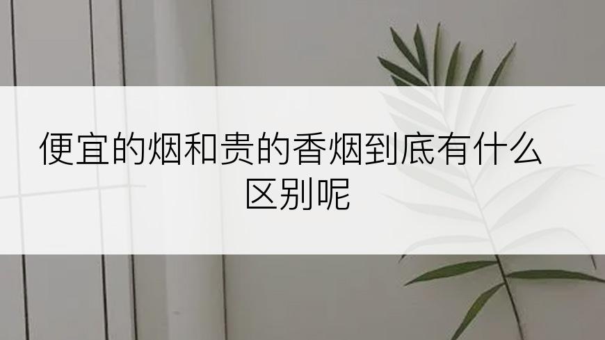 便宜的烟和贵的香烟到底有什么区别呢