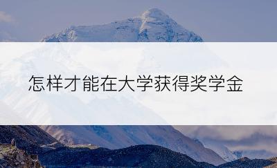 怎样才能在大学获得奖学金