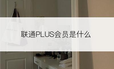 联通PLUS会员是什么