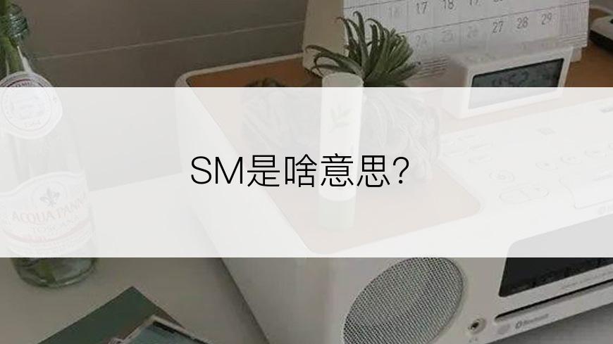 SM是啥意思？