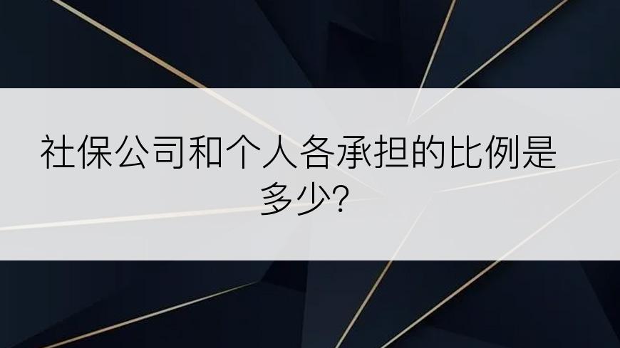 社保公司和个人各承担的比例是多少？