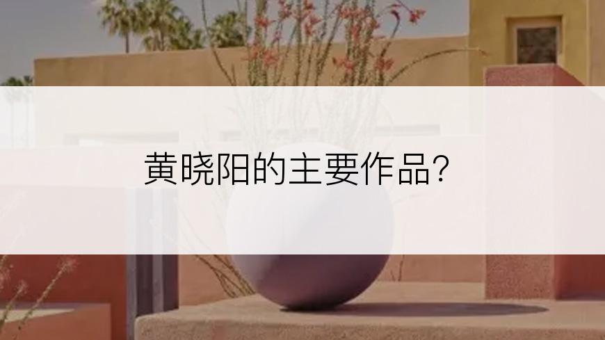 黄晓阳的主要作品？