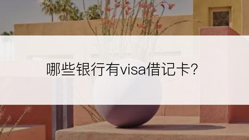 哪些银行有visa借记卡？