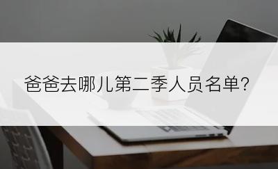 爸爸去哪儿第二季人员名单？