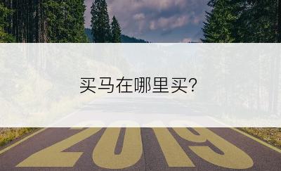 买马在哪里买？